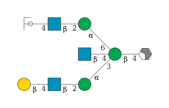 b1D-GlcNAc,p/#acleavage_2_4--4b1D-Man,p((--3a1D-Man,p--2b1D-GlcNAc,p--4b1D-Gal,p)--4b1D-GlcNAc,p)--6a1D-Man,p--2b1D-GlcNAc,p--4b1D-Gal,p/#ycleavage$MONO,Und,-2H,0,redEnd