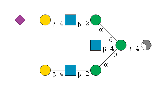 b1D-GlcNAc,p/#acleavage_2_4--4b1D-Man,p((--3a1D-Man,p--2b1D-GlcNAc,p--4b1D-Gal,p)--4b1D-GlcNAc,p)--6a1D-Man,p--2b1D-GlcNAc,p--4b1D-Gal,p--??2D-NeuAc,p$MONO,Und,-2H,0,redEnd