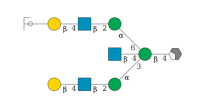 b1D-GlcNAc,p/#acleavage_2_4--4b1D-Man,p((--3a1D-Man,p--2b1D-GlcNAc,p--4b1D-Gal,p)--4b1D-GlcNAc,p)--6a1D-Man,p--2b1D-GlcNAc,p--4b1D-Gal,p--??2D-NeuAc,p/#ycleavage$MONO,Und,-H,0,redEnd