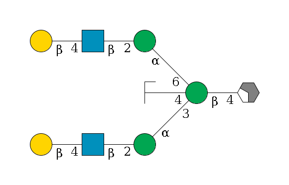 b1D-GlcNAc,p/#acleavage_2_4--4b1D-Man,p((--3a1D-Man,p--2b1D-GlcNAc,p--4b1D-Gal,p)--4b1D-GlcNAc,p/#zcleavage)--6a1D-Man,p--2b1D-GlcNAc,p--4b1D-Gal,p$MONO,Und,-2H,0,redEnd