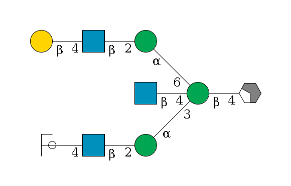 b1D-GlcNAc,p/#acleavage_2_4--4b1D-Man,p((--3a1D-Man,p--2b1D-GlcNAc,p--4b1D-Gal,p/#ycleavage)--4b1D-GlcNAc,p)--6a1D-Man,p--2b1D-GlcNAc,p--4b1D-Gal,p$MONO,Und,-2H,0,redEnd