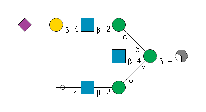b1D-GlcNAc,p/#acleavage_2_4--4b1D-Man,p((--3a1D-Man,p--2b1D-GlcNAc,p--4b1D-Gal,p/#ycleavage)--4b1D-GlcNAc,p)--6a1D-Man,p--2b1D-GlcNAc,p--4b1D-Gal,p--??2D-NeuAc,p$MONO,Und,-2H,0,redEnd