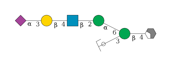b1D-GlcNAc,p/#acleavage_2_4--4b1D-Man,p(--3a1D-Man,p/#ycleavage)--6a1D-Man,p--2b1D-GlcNAc,p--4b1D-Gal,p--3a2D-NeuAc,p$MONO,Und,-2H,0,redEnd