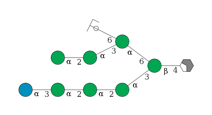 b1D-GlcNAc,p/#acleavage_2_4--4b1D-Man,p(--3a1D-Man,p--2a1D-Man,p--2a1D-Man,p--3a1D-Glc,p)--6a1D-Man,p(--3a1D-Man,p--2a1D-Man,p)--6a1D-Man,p/#ycleavage$MONO,Und,-H,0,redEnd