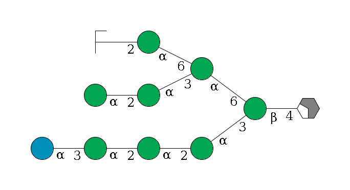 b1D-GlcNAc,p/#acleavage_2_4--4b1D-Man,p(--3a1D-Man,p--2a1D-Man,p--2a1D-Man,p--3a1D-Glc,p)--6a1D-Man,p(--3a1D-Man,p--2a1D-Man,p)--6a1D-Man,p--2a1D-Man,p/#zcleavage$MONO,Und,-2H,0,redEnd