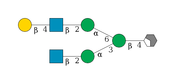 b1D-GlcNAc,p/#acleavage_2_4--4b1D-Man,p(--3a1D-Man,p--2b1D-GlcNAc,p)--6a1D-Man,p--2b1D-GlcNAc,p--4b1D-Gal,p$MONO,Und,-2H,0,redEnd