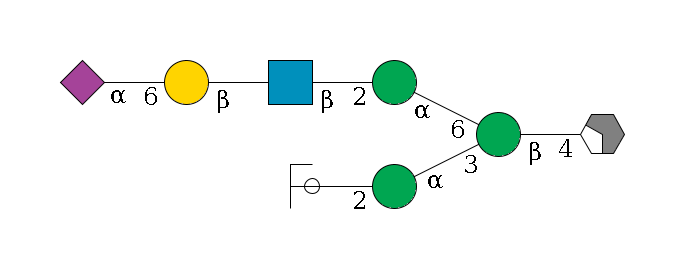 b1D-GlcNAc,p/#acleavage_2_4--4b1D-Man,p(--3a1D-Man,p--2b1D-GlcNAc,p/#ycleavage)--6a1D-Man,p--2b1D-GlcNAc,p--?b1D-Gal,p--6a2D-NeuAc,p$MONO,Und,-2H,0,redEnd