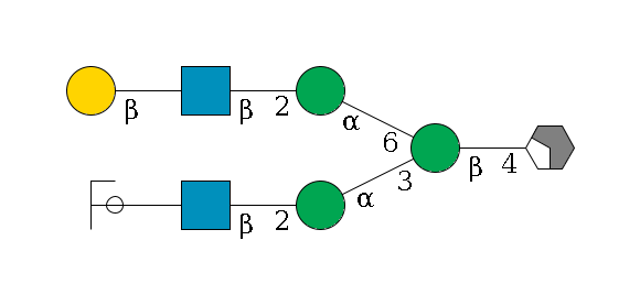 b1D-GlcNAc,p/#acleavage_2_4--4b1D-Man,p(--3a1D-Man,p--2b1D-GlcNAc,p--?b1D-Gal,p/#ycleavage)--6a1D-Man,p--2b1D-GlcNAc,p--?b1D-Gal,p$MONO,Und,-H,0,redEnd