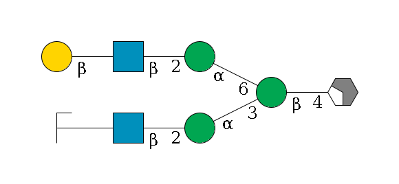 b1D-GlcNAc,p/#acleavage_2_4--4b1D-Man,p(--3a1D-Man,p--2b1D-GlcNAc,p--?b1D-Gal,p/#zcleavage)--6a1D-Man,p--2b1D-GlcNAc,p--?b1D-Gal,p$MONO,Und,-H,0,redEnd
