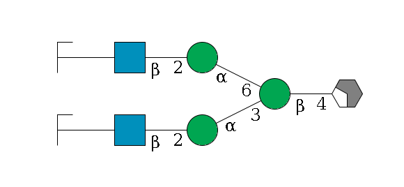 b1D-GlcNAc,p/#acleavage_2_4--4b1D-Man,p(--3a1D-Man,p--2b1D-GlcNAc,p--?b1D-Gal,p/#zcleavage)--6a1D-Man,p--2b1D-GlcNAc,p--?b1D-Gal,p/#zcleavage$MONO,Und,-H,0,redEnd