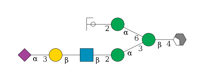 b1D-GlcNAc,p/#acleavage_2_4--4b1D-Man,p(--3a1D-Man,p--2b1D-GlcNAc,p--?b1D-Gal,p--3a2D-NeuAc,p)--6a1D-Man,p--2b1D-GlcNAc,p/#ycleavage$MONO,Und,-2H,0,redEnd
