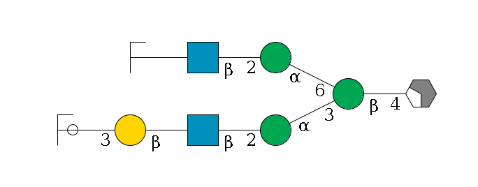 b1D-GlcNAc,p/#acleavage_2_4--4b1D-Man,p(--3a1D-Man,p--2b1D-GlcNAc,p--?b1D-Gal,p--3a2D-NeuAc,p/#ycleavage)--6a1D-Man,p--2b1D-GlcNAc,p--?b1D-Gal,p/#zcleavage$MONO,Und,-H,0,redEnd