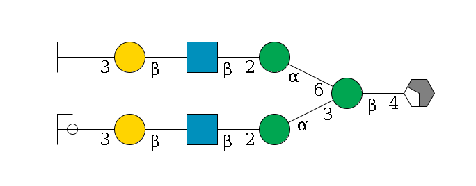 b1D-GlcNAc,p/#acleavage_2_4--4b1D-Man,p(--3a1D-Man,p--2b1D-GlcNAc,p--?b1D-Gal,p--3a2D-NeuAc,p/#ycleavage)--6a1D-Man,p--2b1D-GlcNAc,p--?b1D-Gal,p--3a2D-NeuAc,p/#zcleavage$MONO,Und,-H,0,redEnd