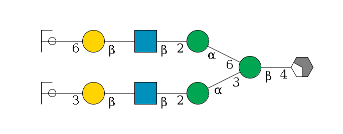 b1D-GlcNAc,p/#acleavage_2_4--4b1D-Man,p(--3a1D-Man,p--2b1D-GlcNAc,p--?b1D-Gal,p--3a2D-NeuAc,p/#ycleavage)--6a1D-Man,p--2b1D-GlcNAc,p--?b1D-Gal,p--6a2D-NeuAc,p/#ycleavage$MONO,Und,-H,0,redEnd