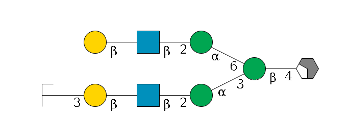 b1D-GlcNAc,p/#acleavage_2_4--4b1D-Man,p(--3a1D-Man,p--2b1D-GlcNAc,p--?b1D-Gal,p--3a2D-NeuAc,p/#zcleavage)--6a1D-Man,p--2b1D-GlcNAc,p--?b1D-Gal,p$MONO,Und,-H,0,redEnd