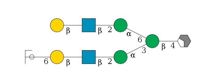 b1D-GlcNAc,p/#acleavage_2_4--4b1D-Man,p(--3a1D-Man,p--2b1D-GlcNAc,p--?b1D-Gal,p--6a2D-NeuAc,p/#ycleavage)--6a1D-Man,p--2b1D-GlcNAc,p--?b1D-Gal,p$MONO,Und,-H,0,redEnd