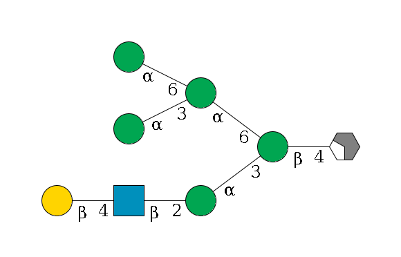 b1D-GlcNAc,p/#acleavage_2_4--4b1D-Man,p(--3a1D-Man,p--2b1D-GlcNAc,p--4b1D-Gal,p)--6a1D-Man,p(--3a1D-Man,p)--6a1D-Man,p$MONO,Und,-2H,0,redEnd