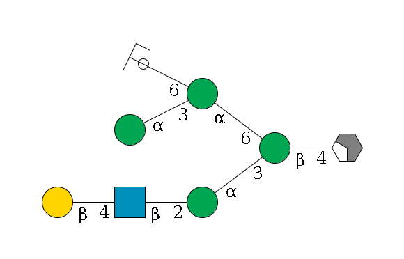 b1D-GlcNAc,p/#acleavage_2_4--4b1D-Man,p(--3a1D-Man,p--2b1D-GlcNAc,p--4b1D-Gal,p)--6a1D-Man,p(--3a1D-Man,p)--6a1D-Man,p/#ycleavage$MONO,Und,-2H,0,redEnd