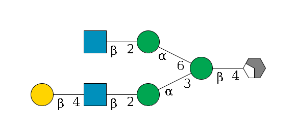 b1D-GlcNAc,p/#acleavage_2_4--4b1D-Man,p(--3a1D-Man,p--2b1D-GlcNAc,p--4b1D-Gal,p)--6a1D-Man,p--2b1D-GlcNAc,p$MONO,Und,-H,0,redEnd
