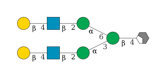 b1D-GlcNAc,p/#acleavage_2_4--4b1D-Man,p(--3a1D-Man,p--2b1D-GlcNAc,p--4b1D-Gal,p)--6a1D-Man,p--2b1D-GlcNAc,p--4b1D-Gal,p$MONO,Und,-2H,0,redEnd