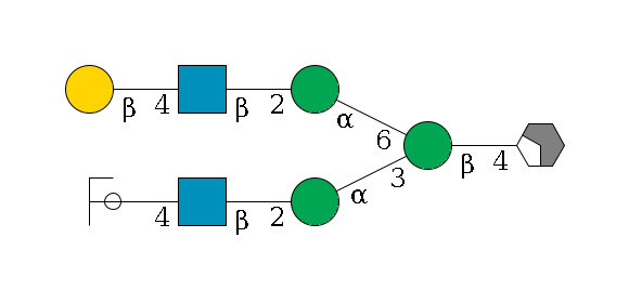 b1D-GlcNAc,p/#acleavage_2_4--4b1D-Man,p(--3a1D-Man,p--2b1D-GlcNAc,p--4b1D-Gal,p/#ycleavage)--6a1D-Man,p--2b1D-GlcNAc,p--4b1D-Gal,p$MONO,Und,-2H,0,redEnd
