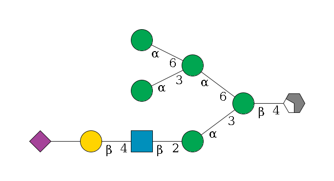 b1D-GlcNAc,p/#acleavage_2_4--4b1D-Man,p(--3a1D-Man,p--2b1D-GlcNAc,p--4b1D-Gal,p--??2D-NeuAc,p)--6a1D-Man,p(--3a1D-Man,p)--6a1D-Man,p$MONO,Und,-2H,0,redEnd