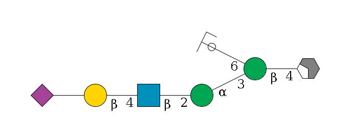 b1D-GlcNAc,p/#acleavage_2_4--4b1D-Man,p(--3a1D-Man,p--2b1D-GlcNAc,p--4b1D-Gal,p--??2D-NeuAc,p)--6a1D-Man,p/#ycleavage$MONO,Und,-H,0,redEnd