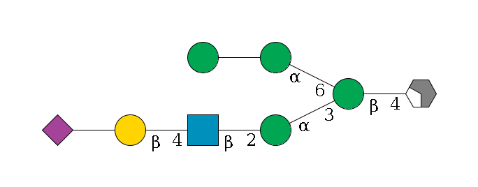 b1D-GlcNAc,p/#acleavage_2_4--4b1D-Man,p(--3a1D-Man,p--2b1D-GlcNAc,p--4b1D-Gal,p--??2D-NeuAc,p)--6a1D-Man,p--??1D-Man,p$MONO,Und,-2H,0,redEnd