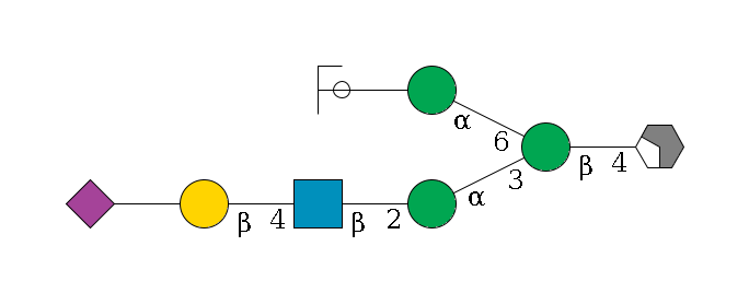 b1D-GlcNAc,p/#acleavage_2_4--4b1D-Man,p(--3a1D-Man,p--2b1D-GlcNAc,p--4b1D-Gal,p--??2D-NeuAc,p)--6a1D-Man,p--??1D-Man,p/#ycleavage$MONO,Und,-2H,0,redEnd
