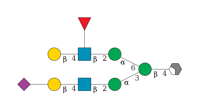 b1D-GlcNAc,p/#acleavage_2_4--4b1D-Man,p(--3a1D-Man,p--2b1D-GlcNAc,p--4b1D-Gal,p--??2D-NeuAc,p)--6a1D-Man,p--2b1D-GlcNAc,p(--4b1D-Gal,p)--??1L-Fuc,p$MONO,Und,-H,0,redEnd