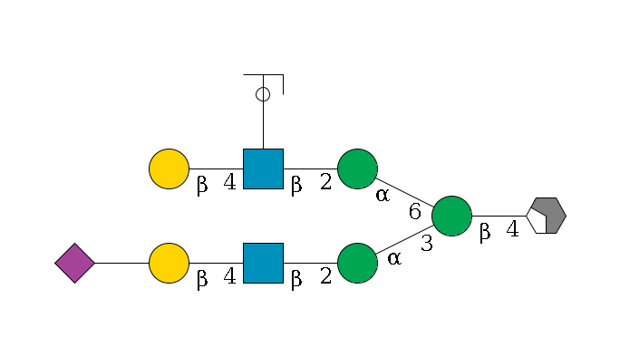 b1D-GlcNAc,p/#acleavage_2_4--4b1D-Man,p(--3a1D-Man,p--2b1D-GlcNAc,p--4b1D-Gal,p--??2D-NeuAc,p)--6a1D-Man,p--2b1D-GlcNAc,p(--4b1D-Gal,p)--??1L-Fuc,p/#ycleavage$MONO,Und,-H,0,redEnd