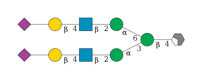 b1D-GlcNAc,p/#acleavage_2_4--4b1D-Man,p(--3a1D-Man,p--2b1D-GlcNAc,p--4b1D-Gal,p--??2D-NeuAc,p)--6a1D-Man,p--2b1D-GlcNAc,p--4b1D-Gal,p--??2D-NeuAc,p$MONO,Und,-2H,0,redEnd
