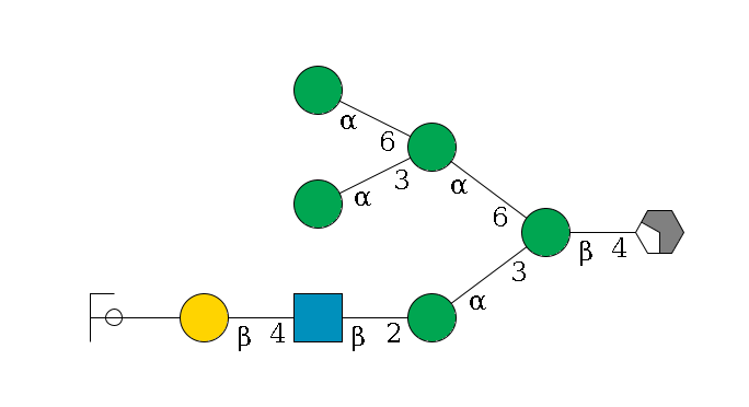 b1D-GlcNAc,p/#acleavage_2_4--4b1D-Man,p(--3a1D-Man,p--2b1D-GlcNAc,p--4b1D-Gal,p--??2D-NeuAc,p/#ycleavage)--6a1D-Man,p(--3a1D-Man,p)--6a1D-Man,p$MONO,Und,-H,0,redEnd