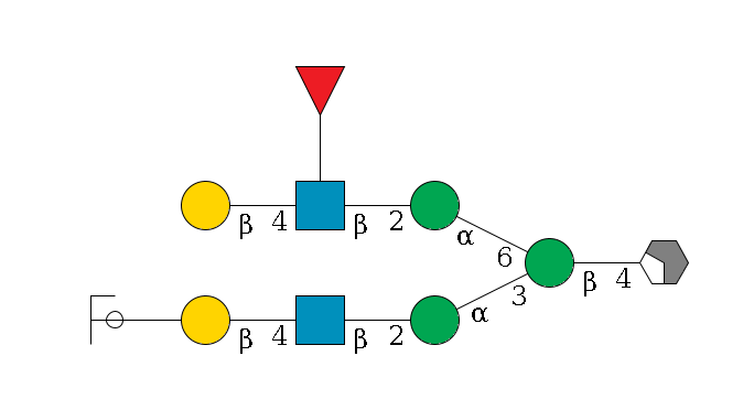 b1D-GlcNAc,p/#acleavage_2_4--4b1D-Man,p(--3a1D-Man,p--2b1D-GlcNAc,p--4b1D-Gal,p--??2D-NeuAc,p/#ycleavage)--6a1D-Man,p--2b1D-GlcNAc,p(--4b1D-Gal,p)--??1L-Fuc,p$MONO,Und,-H,0,redEnd