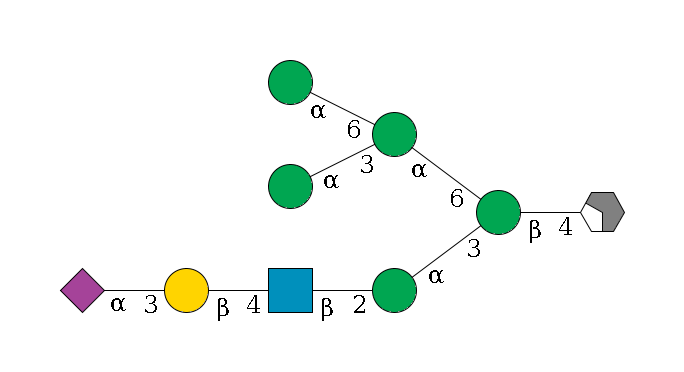 b1D-GlcNAc,p/#acleavage_2_4--4b1D-Man,p(--3a1D-Man,p--2b1D-GlcNAc,p--4b1D-Gal,p--3a2D-NeuAc,p)--6a1D-Man,p(--3a1D-Man,p)--6a1D-Man,p$MONO,Und,-2H,0,redEnd