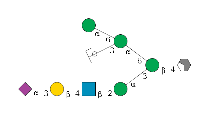 b1D-GlcNAc,p/#acleavage_2_4--4b1D-Man,p(--3a1D-Man,p--2b1D-GlcNAc,p--4b1D-Gal,p--3a2D-NeuAc,p)--6a1D-Man,p(--3a1D-Man,p/#ycleavage)--6a1D-Man,p$MONO,Und,-2H,0,redEnd