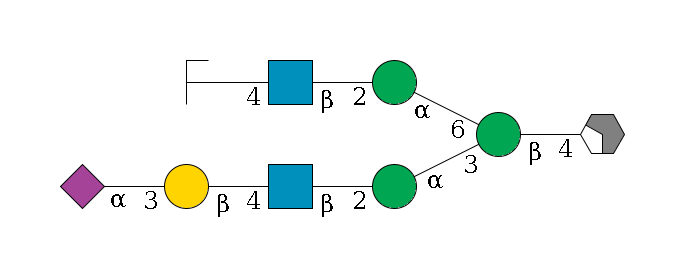 b1D-GlcNAc,p/#acleavage_2_4--4b1D-Man,p(--3a1D-Man,p--2b1D-GlcNAc,p--4b1D-Gal,p--3a2D-NeuAc,p)--6a1D-Man,p--2b1D-GlcNAc,p--4b1D-Gal,p/#zcleavage$MONO,Und,-H,0,redEnd