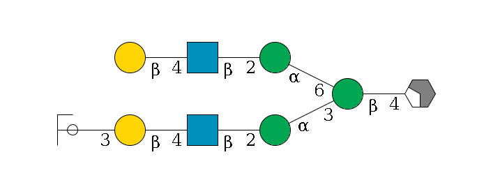 b1D-GlcNAc,p/#acleavage_2_4--4b1D-Man,p(--3a1D-Man,p--2b1D-GlcNAc,p--4b1D-Gal,p--3a2D-NeuAc,p/#ycleavage)--6a1D-Man,p--2b1D-GlcNAc,p--4b1D-Gal,p$MONO,Und,-H,0,redEnd