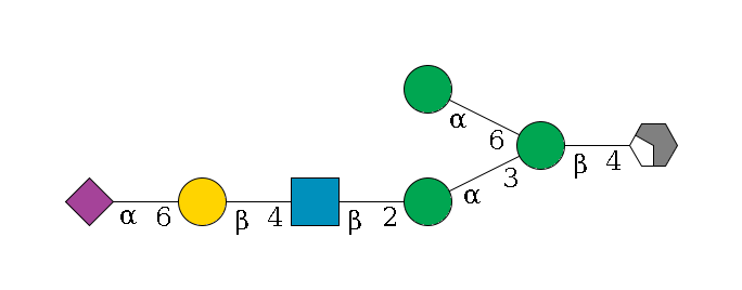 b1D-GlcNAc,p/#acleavage_2_4--4b1D-Man,p(--3a1D-Man,p--2b1D-GlcNAc,p--4b1D-Gal,p--6a2D-NeuAc,p)--6a1D-Man,p$MONO,Und,-2H,0,redEnd