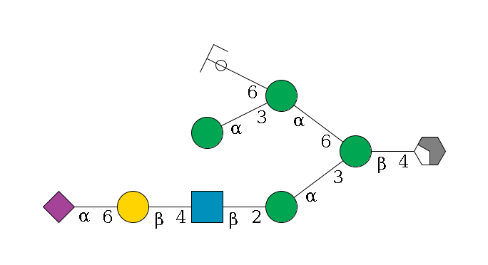 b1D-GlcNAc,p/#acleavage_2_4--4b1D-Man,p(--3a1D-Man,p--2b1D-GlcNAc,p--4b1D-Gal,p--6a2D-NeuAc,p)--6a1D-Man,p(--3a1D-Man,p)--6a1D-Man,p/#ycleavage$MONO,Und,-2H,0,redEnd