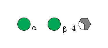 b1D-GlcNAc,p/#acleavage_2_4--4b1D-Man,p--?a1D-Man,p$MONO,Und,-H,0,redEnd