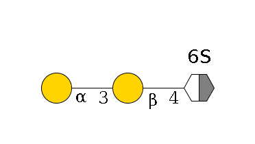 b1D-GlcNAc,p/#acleavage_2_5(--4b1D-Gal,p--3a1D-Gal,p)--6?1S$MONO,Und,-H,0,redEnd