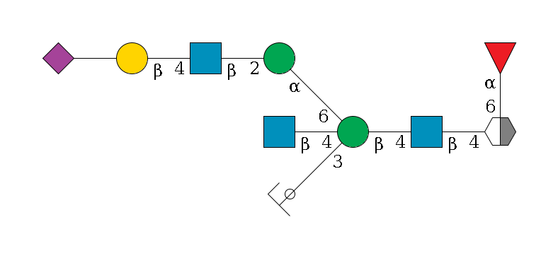 b1D-GlcNAc,p/#acleavage_2_5(--4b1D-GlcNAc,p--4b1D-Man,p((--3a1D-Man,p/#ycleavage)--4b1D-GlcNAc,p)--6a1D-Man,p--2b1D-GlcNAc,p--4b1D-Gal,p--??2D-NeuAc,p)--6a1L-Fuc,p$MONO,Und,-2H,0,redEnd