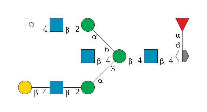 b1D-GlcNAc,p/#acleavage_2_5(--4b1D-GlcNAc,p--4b1D-Man,p((--3a1D-Man,p--2b1D-GlcNAc,p--4b1D-Gal,p)--4b1D-GlcNAc,p)--6a1D-Man,p--2b1D-GlcNAc,p--4b1D-Gal,p/#ycleavage)--6a1L-Fuc,p$MONO,Und,-2H,0,redEnd