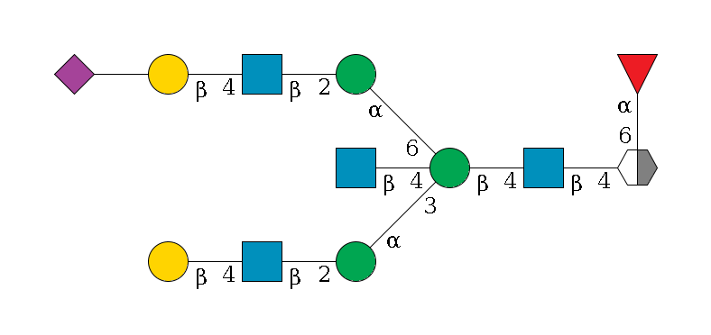 b1D-GlcNAc,p/#acleavage_2_5(--4b1D-GlcNAc,p--4b1D-Man,p((--3a1D-Man,p--2b1D-GlcNAc,p--4b1D-Gal,p)--4b1D-GlcNAc,p)--6a1D-Man,p--2b1D-GlcNAc,p--4b1D-Gal,p--??2D-NeuAc,p)--6a1L-Fuc,p$MONO,Und,-2H,0,redEnd