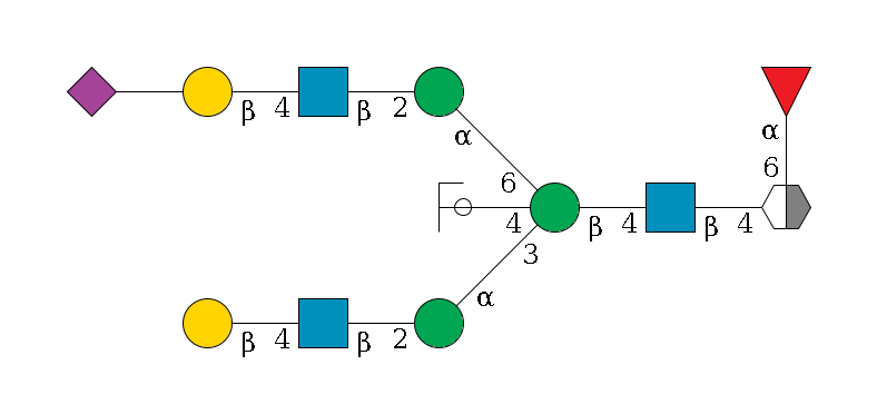 b1D-GlcNAc,p/#acleavage_2_5(--4b1D-GlcNAc,p--4b1D-Man,p((--3a1D-Man,p--2b1D-GlcNAc,p--4b1D-Gal,p)--4b1D-GlcNAc,p/#ycleavage)--6a1D-Man,p--2b1D-GlcNAc,p--4b1D-Gal,p--??2D-NeuAc,p)--6a1L-Fuc,p$MONO,Und,-2H,0,redEnd