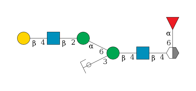 b1D-GlcNAc,p/#acleavage_2_5(--4b1D-GlcNAc,p--4b1D-Man,p(--3a1D-Man,p/#ycleavage)--6a1D-Man,p--2b1D-GlcNAc,p--4b1D-Gal,p)--6a1L-Fuc,p$MONO,Und,-2H,0,redEnd