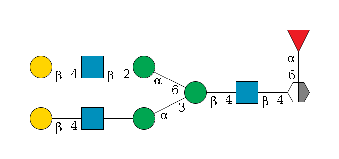 b1D-GlcNAc,p/#acleavage_2_5(--4b1D-GlcNAc,p--4b1D-Man,p(--3a1D-Man,p--??1D-GlcNAc,p--4b1D-Gal,p)--6a1D-Man,p--2b1D-GlcNAc,p--4b1D-Gal,p)--6a1L-Fuc,p$MONO,Und,-2H,0,redEnd