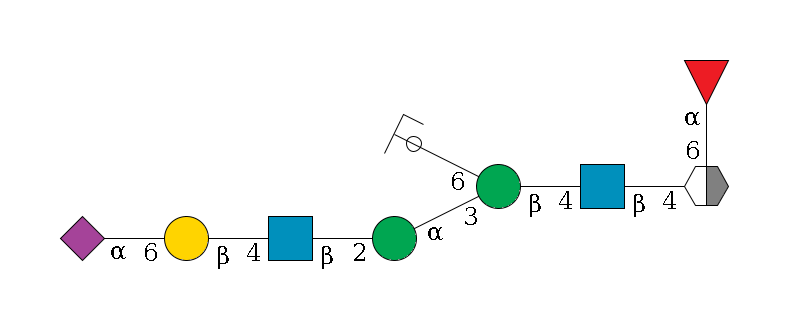 b1D-GlcNAc,p/#acleavage_2_5(--4b1D-GlcNAc,p--4b1D-Man,p(--3a1D-Man,p--2b1D-GlcNAc,p--4b1D-Gal,p--6a2D-NeuAc,p)--6a1D-Man,p/#ycleavage)--6a1L-Fuc,p$MONO,Und,-2H,0,redEnd