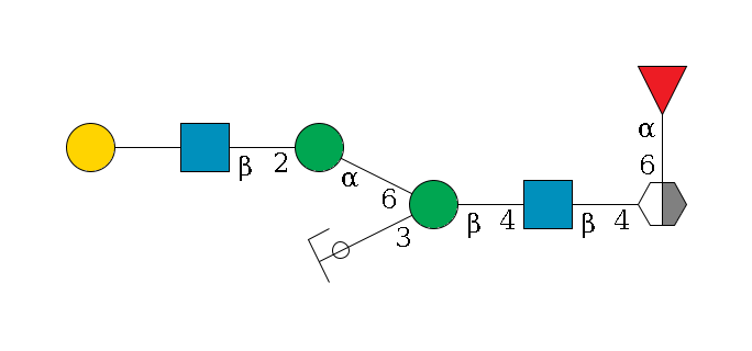b1D-GlcNAc,p/#acleavage_2_5(--6a1L-Fuc,p)--4b1D-GlcNAc,p--4b1D-Man,p(--3a1D-Man,p/#ycleavage)--6a1D-Man,p--2b1D-GlcNAc,p--??1D-Gal,p$MONO,Und,-2H,0,redEnd